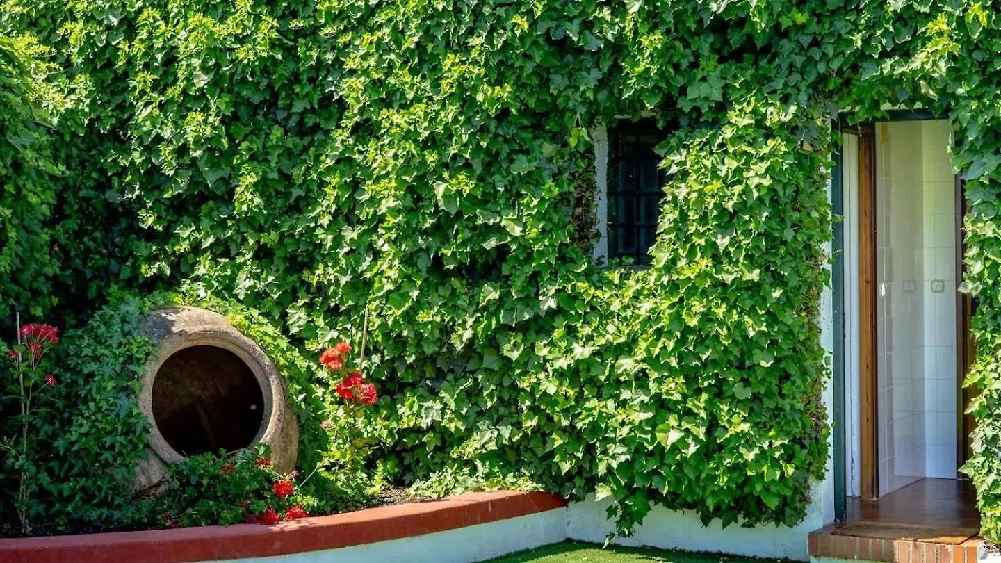 Casa Velasco Antequera 0*,  Spain